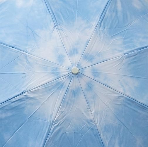 Image of HomeCloud Magic Umbrella Windproof, Sunproof & Rainproof with Sturdy Steel Shaft & Wrist Straps | Secret Blossoms Occur with Water Magic Print | Easy to Hold & Carry | Umbrella for Women, Men & Kids
