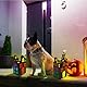 MONCAP 12 Stück Halloween Spukhaus Bastelset Kinder Halloween Geisterhaus Basteln Halloween Kreativsets Laternen Papierbastelset Halloween Deko Basteln für Mädchen Jungen Halloween Party Geschenk