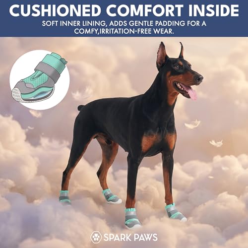 Image of Spark Paws Dog Shoes for Large Small Medium Dogs Breathable Dog Booties for Hiking, Summer Hot Pavement Paw Protectors for Non Slip Rubber Dog Boots for Outdoor - (Turquoise, Size 3)