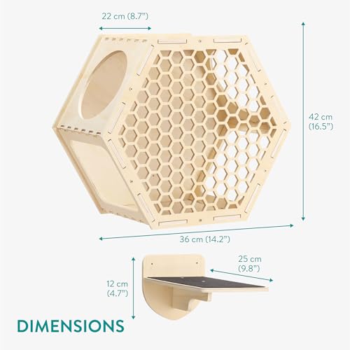 Navaris Percorso Gatti da Parete Set da 4-1 Mensola Gatto e 3 Scalini - Accessori Gatti in Casa - Giochi Gatto - Pannello Scaletta Gatti - Esagonale