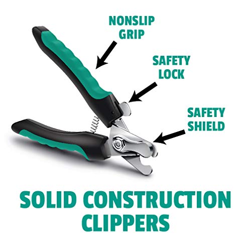 Oster Flea and Tick Shampoo with Oatmeal 3.29 (REG 9.99