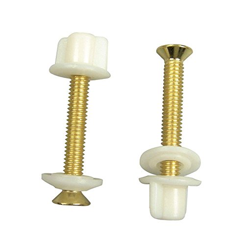 Wideskall Brass Plated Toilet Seat Hinge Bolts Screw and Nut