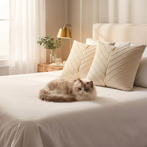 Image of Velvet Throw Pillow Covers 22x22 inch Pack of 2 Gold Decor Cream