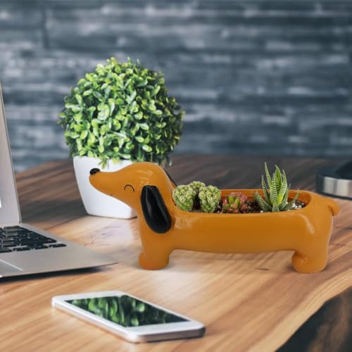 Pot à fleurs Dachshund en résine : jardinière à cactus Teckel pour balcon