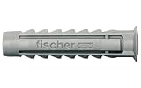 fischer