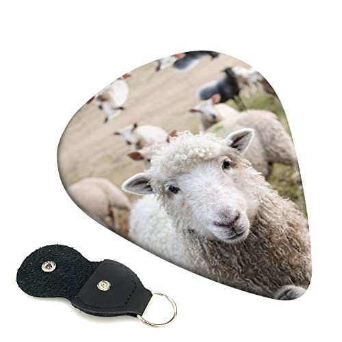 Mignon mouton agneau Lot de 6 médiators pour guitare acoustique, guitare électrique, basse, ukulélé – fin, moyen et… - Les Beatles, Paul McCartney, John Lennon, RIngo Starr, George Harrison Mignon mouton agneau Lot de 6 médiators pour guitare acoustique, guitare électrique, basse, ukulélé – fin, moyen et…