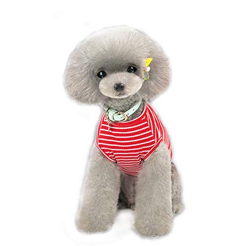 YULOONG L[g bVǍATVcAX|[cEFAAOoAtĕAĂhAEѕی