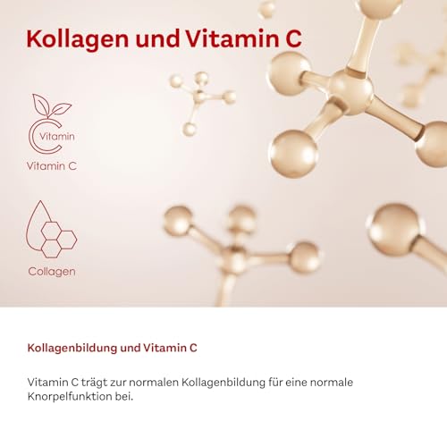 Doppelherz system KOLLAGEN 11.000 PLUS – Mit Nährstoffen, die zur Gesundheit des Bewegungsapparates und zum Zellschutz beitragen – 2x 30 Trinkfläschchen