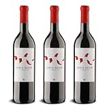 DELINAT – Canta Rasim 2023 – Französischer Rotwein trocken – Bio-Wein aus dem Languedoc, vegan (3 x 0,75l)