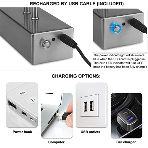 Image of RAIFOOLLY Picture Light,Picture Lights for Wall Cordless,Picture Lights with Timer and Dimmable,Battery Wall Lights for Display Gallery Painting Art Frame Portrait-Black Steel