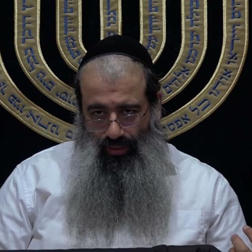 תומר דבורה 31 (43 בפועל) פרק 9