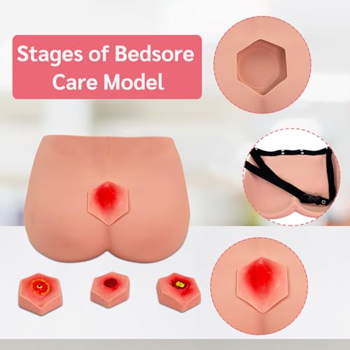 Image of Decubitus Ulcer Training Model, PVC Bedsores Pressure Sore Model 4 Stages of Bedsores - Decubitus Wound Care Kit for Medical Pratice Training Teaching Model