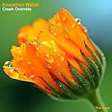crash override network  Crash Override (Original Mix)
