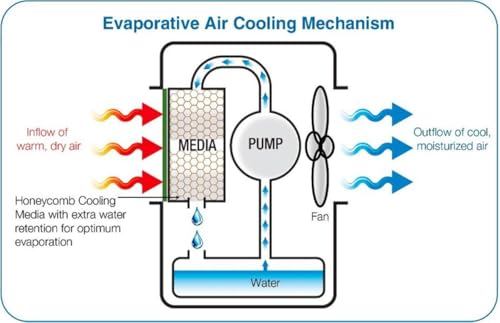 Image of Honeycomb Pad | Cooler Pad for Kenstar Little Cooler | Cellulose Paper Cooling Media | High Water Absorption Blue Filter