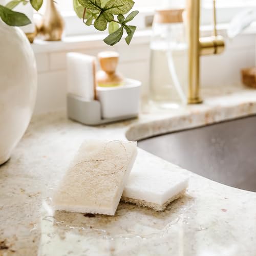 Image of Full Circle Coconut Scrubber Sponges, Pack of 6 - Dual-Sided, Plant-Based Sponges Made with Coconut Shells, Cellulose & Recycled Materials, Safe for Nonstick Cookware