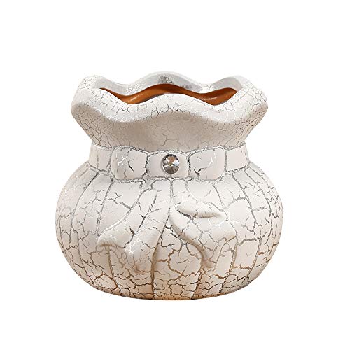 Pot de fleur d'intérieur haut de gamme pour sublimer votre bureau à domicile et cactus