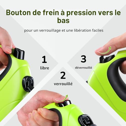 Laisse rétractable pour chien Pecute avec bouton stop et blocage