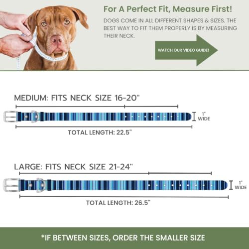 Image of rubyloo Waterproof Dog Collar - Washable, Stink-Proof & Dirt-Proof - Soft, Odorless, Easy to Clean - Fade-Resistant, Durable for Medium & Large Dogs - Rust-Proof Metal Buckle - Blue-M 1 inch