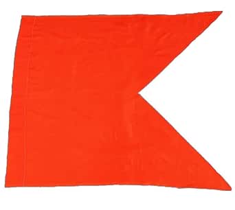 Flag Saffron (kesariya), Orange Color Flag Bhagwa dhwaj for Temple ...