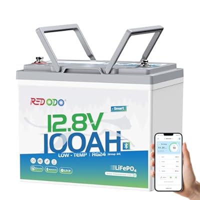 Redodo Bluetooth 12V 100Ah LiFePO4 Battery, Low-Temp Protection Group 24 Lithium Battery for Trolling Motor, Bulit-in 100A Smart BMS, 10 Years Lifetime, Ideal for Marine, Boat, RV, Solar and Off Grid