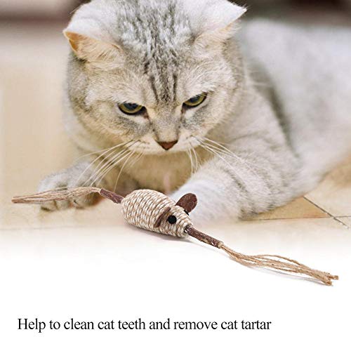 Palitos para mastigar gatos, brinquedos para mastigar gatos, palitos para mastigar gatinhos para cas