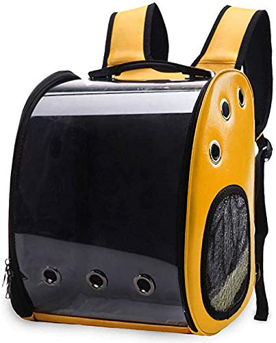 cat transport company