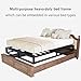 Bilily 10 Inch Queen Bed Frame with Steel Slat Support, Low Profile Queen Metal Platform Bed Frame Support Mattress Foundation, No Box Spring Needed/Easy Assembly/Noise Free