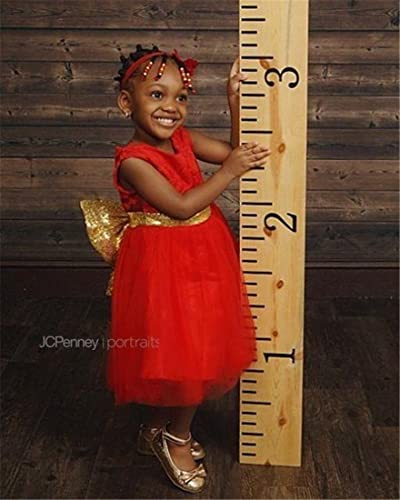 Lace Formal Sequins Flower Girl Dress For Girl Party Pageant Dresses Clothes Clothing Kids Knee Mid A Line Tulle Blush Size 3T Summer Sundress (Red, 110) #TOP2