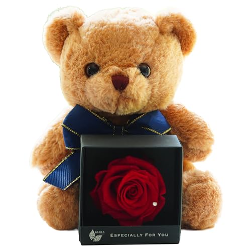 IPFA vU[uht[ XC[g xr[xA (uExA/{) with [Y{bNX N}  ʂ v[g Mtg j o a j ސEj oYj җ  t[