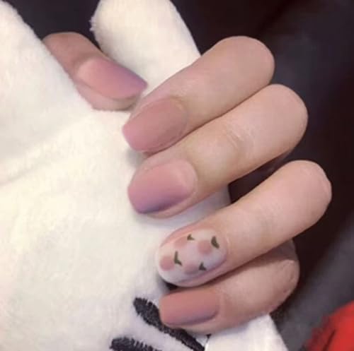 lC`bv V[g 24 tďH~ afUC 킢 Vv  l  p[eB[p ʃe[vEbhXeBbNlCt@Ct (R040, t[TCY)