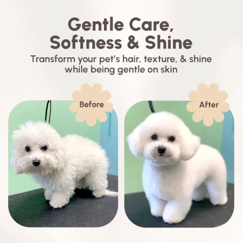 Image of Best Shot Pet Scentament Spa Seasonal Facial & Body Wash (Caribbean Dream, 16 fl oz)