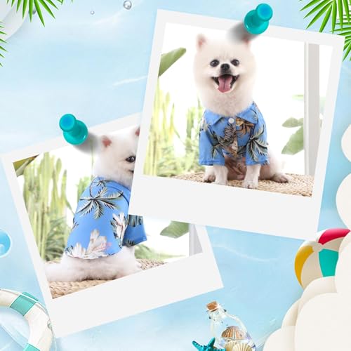 Hawaii Hunde Shirts für Kleine,Sommer Hundeshirts,Pet Poloshirt T-Shirt,Hunde Shirt für Kleine Dog,Hundeshirt Bedruckte T-Shirts Schnell Trocknende Atmungsaktive für Small Dog Katzen (Himmelblau,M)