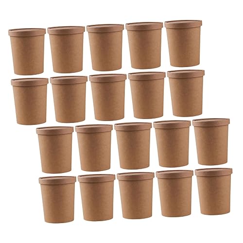 GOOHOCHY 25 Sets Tragueo De Asas De Comida Cajas De Embalaje Desechables Tazas De Helado Con Tapas