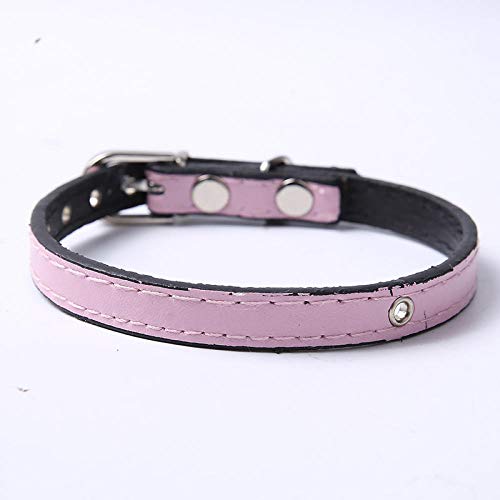 TYCHWZRMV(X)A x[VbNȌp[h p U[ ߉\Ȍpn[lX 6F ^ ^ ybg(Pink,M)