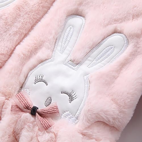Cartoon Fleece Full Zip Coat for Baby Girls Hooded Long Sleeve Thick Plush Jacket Toddler Girls Cute Windproof Outwear3
