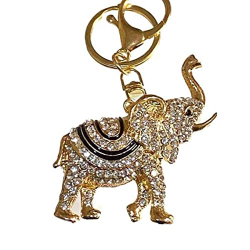 artlies yD^Cvz ]E L[z_[ ANZT[ `[ obO Gi KX r[Y `F[   Jo L[O bN obO 킢 (u[)