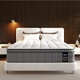LETMOON 12 inch Hybrid Twin XL