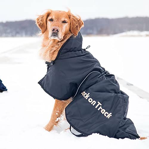 Back on Track - Winter coat 55 cm - (734004110628)