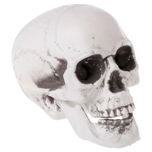 AC - Caveira para Halloween, plástico, crânio, decoração de interior, carnaval, festas, celebrações, 15 cm