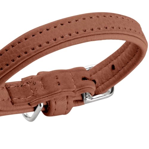 Hunter Hundehalsband SOHO MINI, Farbe: Cognac, Rindsleder, weich & geschmeidig, fellschonend, leicht, für kleine Hunde & Welpen, Made in Germany, Größe: 27