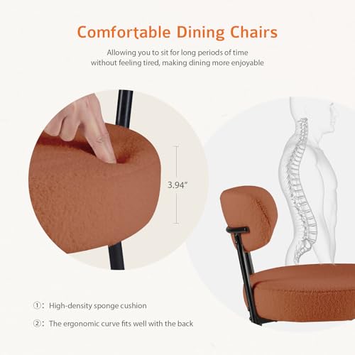 image for DUMOS Dining Chairs Set of 2, Mid Century Modern Chair Round Upholster