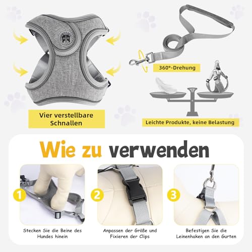 3 Stück Hundegeschirr und Leine Set, Verstellbares Brustgeschirr, Reflektierendes atmungsaktives Hundegeschirr mit D-Ring, Hundegeschirrs Set für Welpen, Kleine Hunde