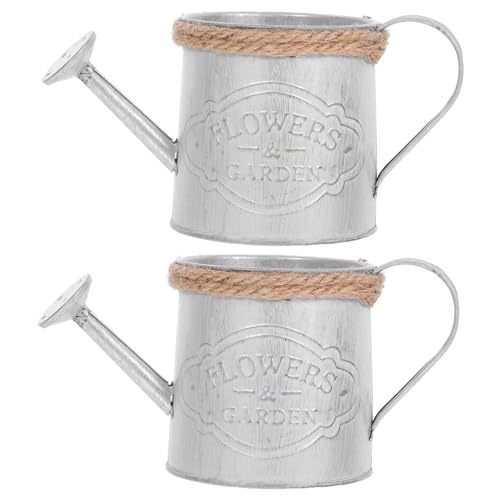 Toddmomy 1 Satz Vintage Eisen Blumenvase Mit Henkel Dekorative Gartenartikel Für Frische Und Platzsparend Und Vielseitig Einsetzbar Für Zuhause Und Büro 2 Stück