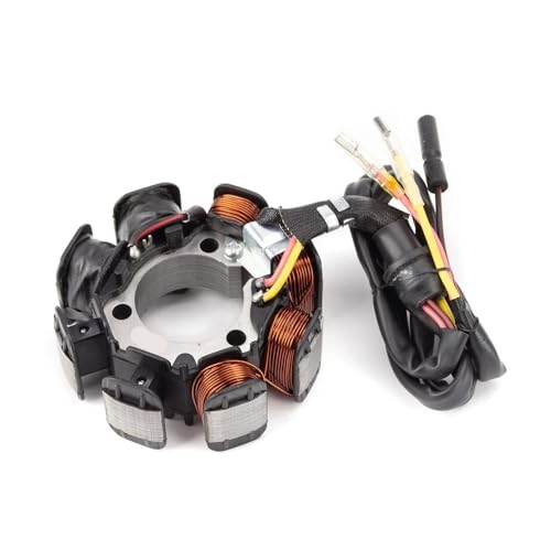 Stator de moto pour XR200 performance électrique stable - 2