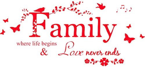 Blinggo Red 22" x 10" Family Letter Quote Removable Vinyl Decal Art Mural Home Decor Wall Stickers