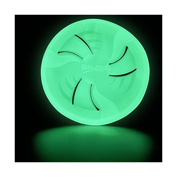 Lightweight Dog Catch and Fetch Toys