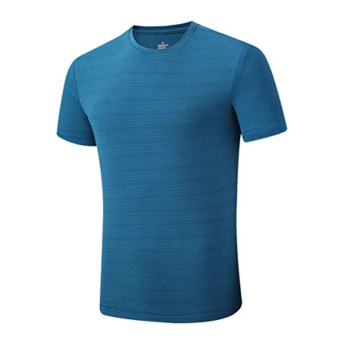 Preisvergleich Produktbild Marico Herren Fitnessstudio Trainings-T-Shirt Schnelltrocknendes Oberteil Atmungsaktiv Wicking Fitness Kurzarm Eisseide Rundhals Laufendes T-Shirt Sommer Sport T-Shirt,A,L