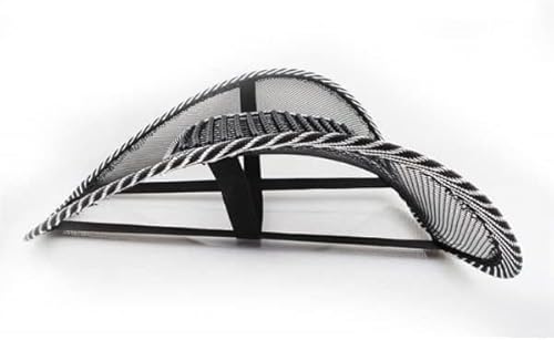 Parence.- Ergonomische Lordosenstütze - Stützkissen für Stuhl und Autositz - Lendenwirbelentlastung und Haltungsverbesserung - Leicht und einfach zu transportieren - 43x41 cm