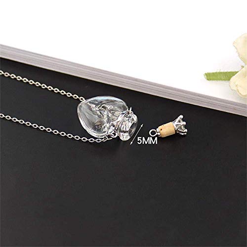 IVYRISE 1PC Clear Heart Vial Perfume Bottle Necklaces Stainless Steel Chain Make a Wish blood vial necklace Women Jewelry3