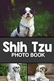 Photo Gallery shih tzu photo book: cute creatures colorful pictures for all ages to have fun and relax Photo Gallery shih tzu photo book: cute creatures colorful pictures for all ages to have fun and relax